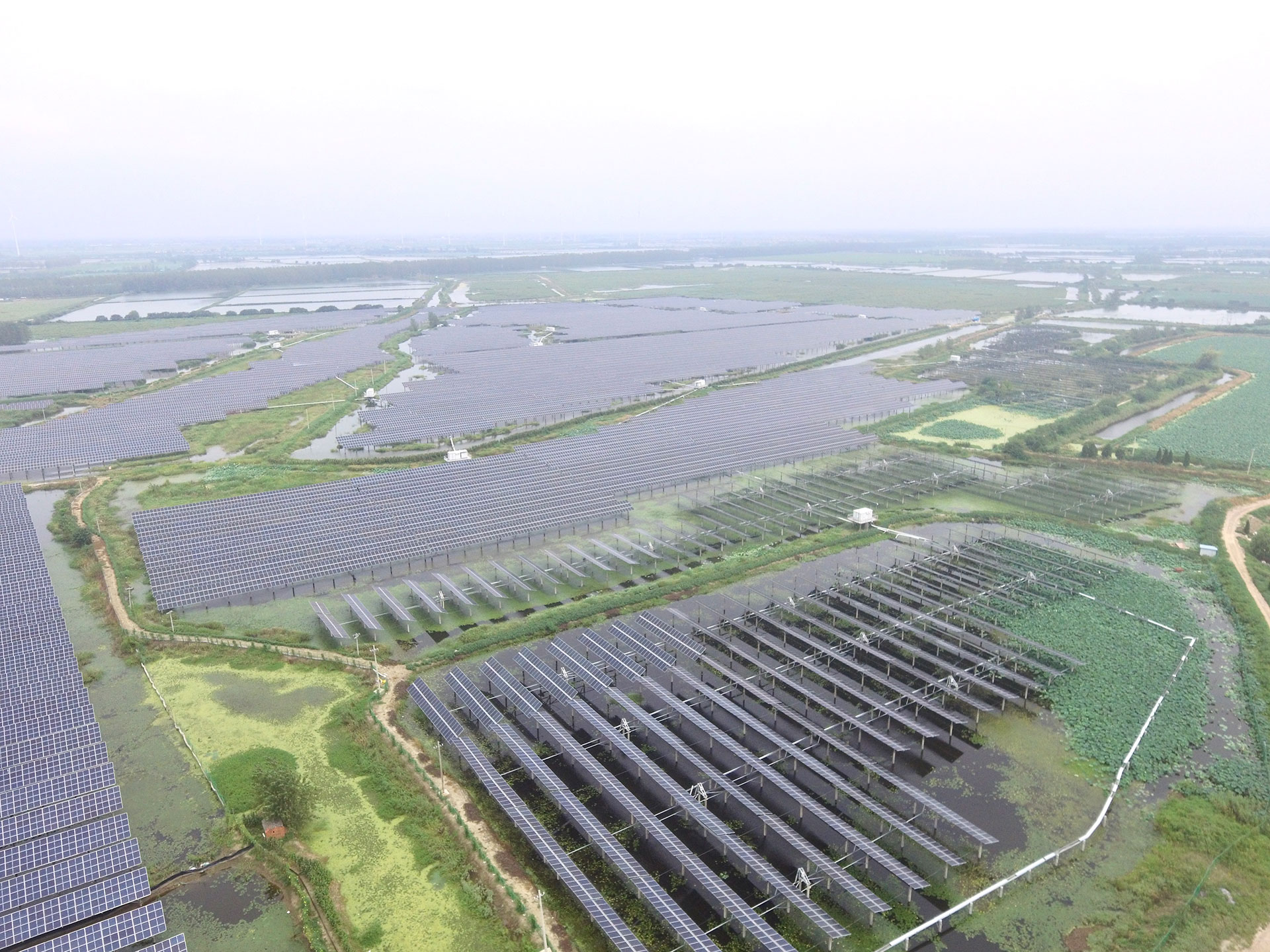 kaiyun(集团)电子科技江苏扬州宝应光伏发电应用领跑基地2号100兆瓦项目